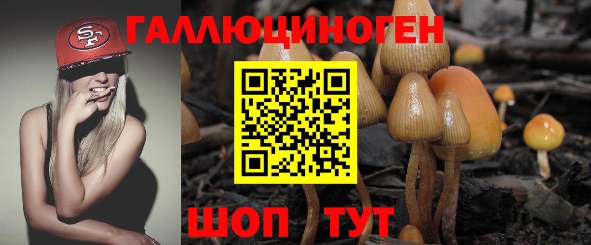 Владимир  Псилоцибиновые грибы Magic Shrooms  Вход с VPN 